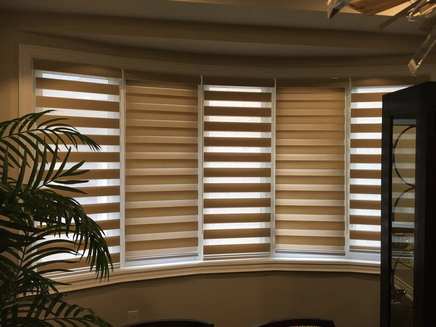 corded zebra blinds corded zebra blinds